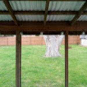 Meet your Posher, Collin